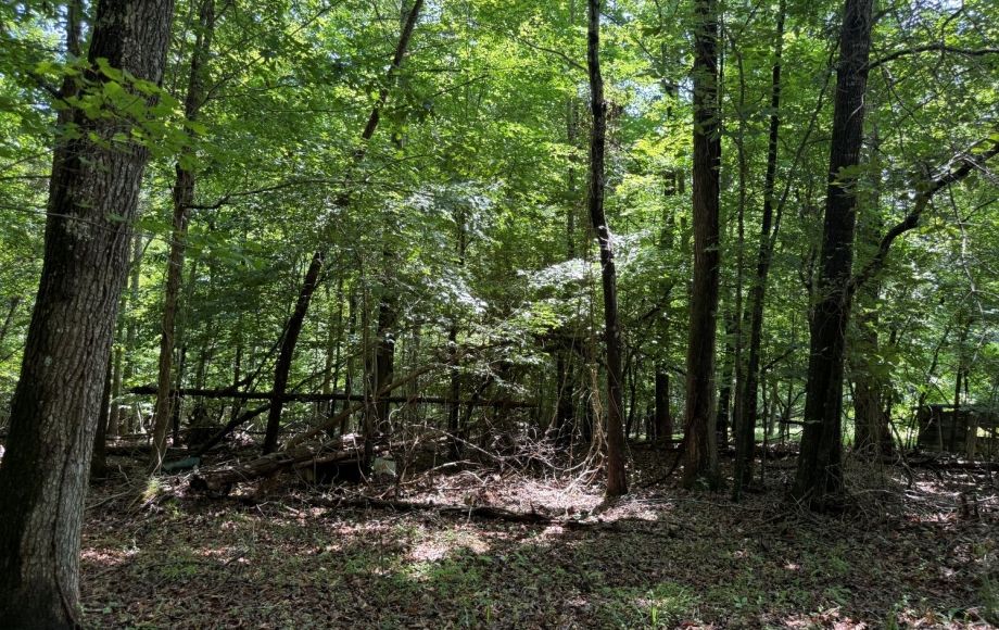 Image for FOR SALE~21.70 ACRES VACANT LAND~LIBERTY, NC