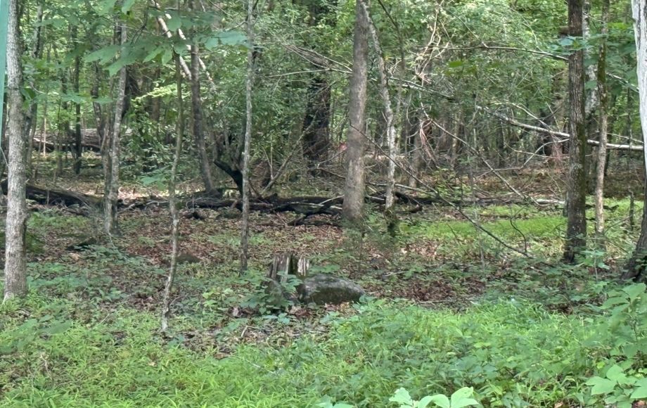 Image for FOR SALE~21.70 ACRES VACANT LAND~LIBERTY, NC