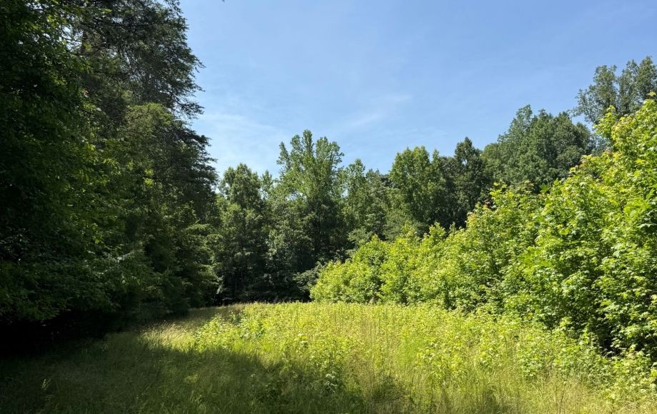 Image for FOR SALE~21.70 ACRES VACANT LAND~LIBERTY, NC