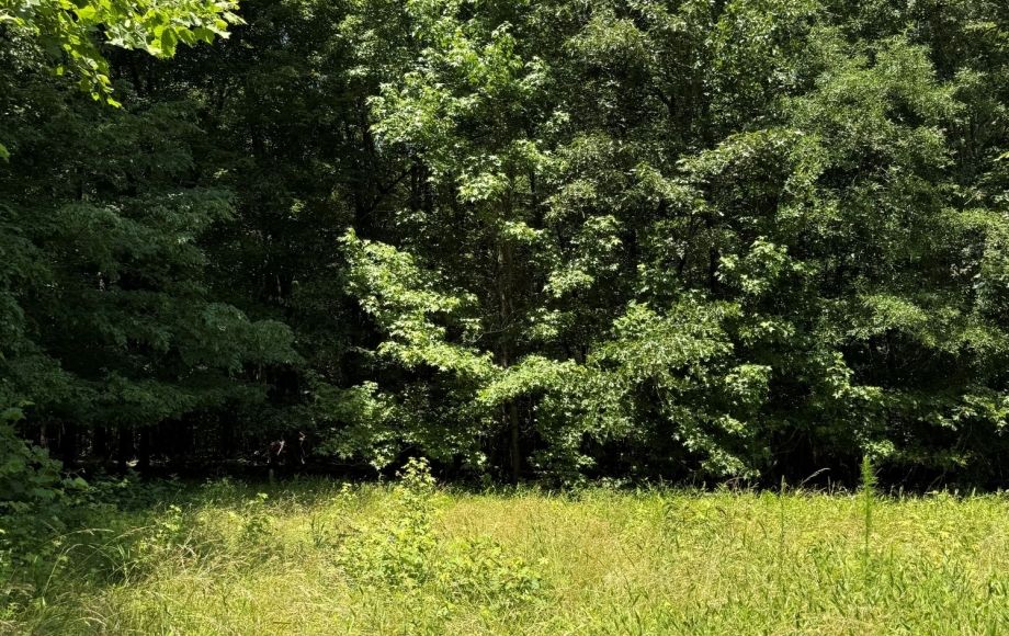 Image for FOR SALE~21.70 ACRES VACANT LAND~LIBERTY, NC