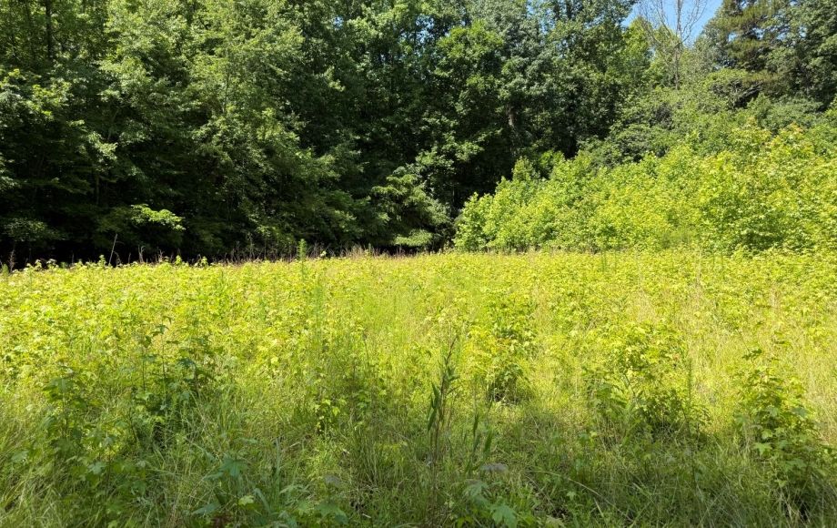 Image for FOR SALE~21.70 ACRES VACANT LAND~LIBERTY, NC