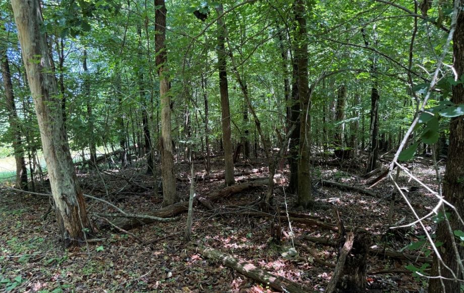 Image for FOR SALE~21.70 ACRES VACANT LAND~LIBERTY, NC