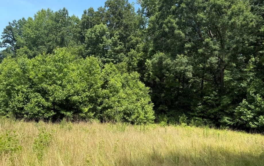 Image for FOR SALE~21.70 ACRES VACANT LAND~LIBERTY, NC