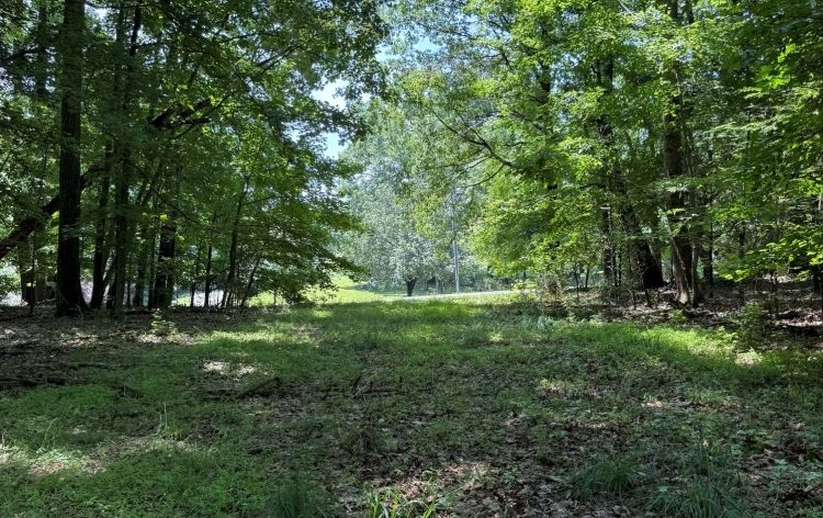 Image for FOR SALE~21.70 ACRES VACANT LAND~LIBERTY, NC