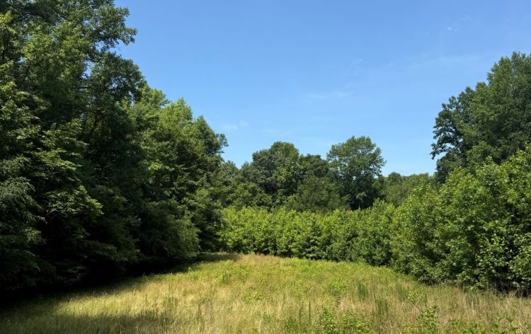 Image for SOLD~21.70 ACRES VACANT LAND~LIBERTY, NC