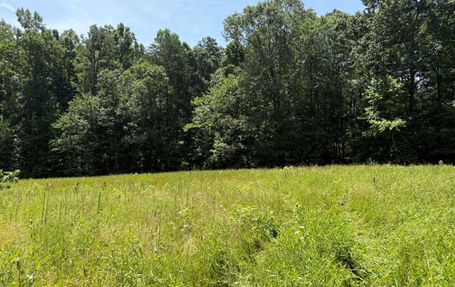 Image for FOR SALE~21.70 ACRES VACANT LAND~LIBERTY, NC