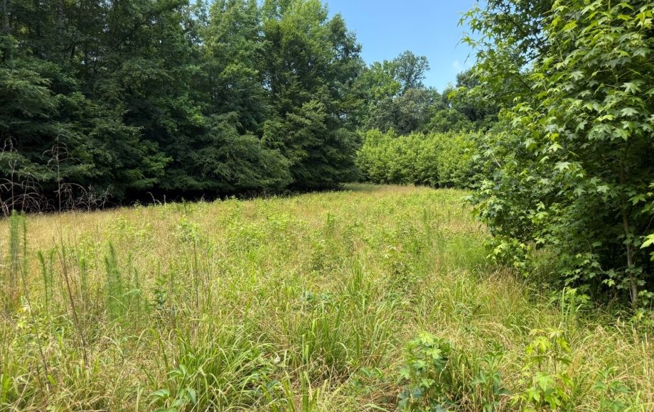 Image for FOR SALE~21.70 ACRES VACANT LAND~LIBERTY, NC