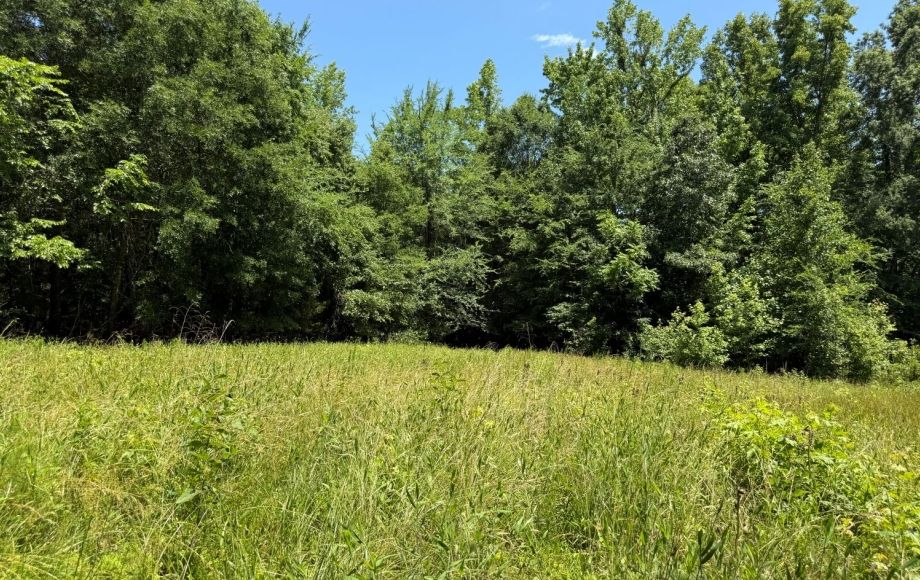 Image for FOR SALE~21.70 ACRES VACANT LAND~LIBERTY, NC