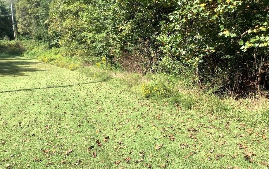 Image for FOR SALE AT AUCTION~5 ACRES~COLFAX