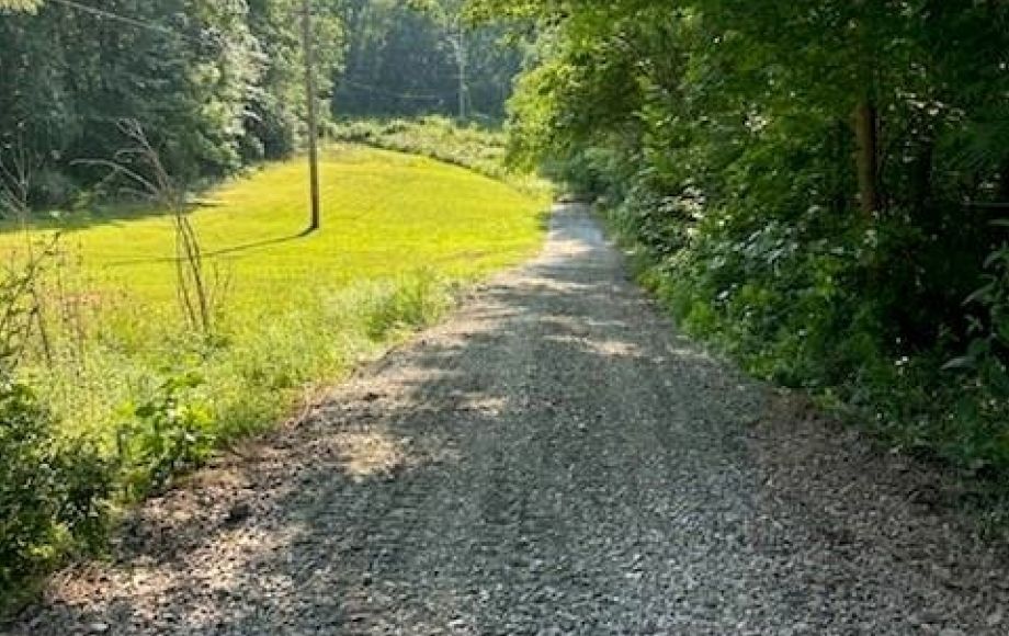 Image for FOR SALE AT AUCTION~5 ACRES~COLFAX