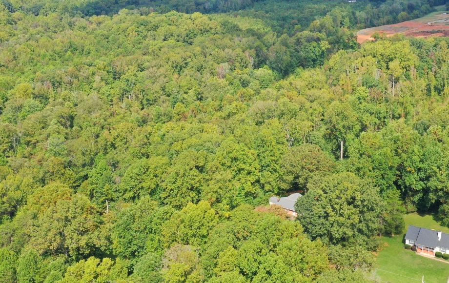 Image for FOR SALE AT AUCTION~5 ACRES~COLFAX