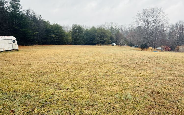 Image for 3-ACRES (VACANT LAND)~RANDLEMAN