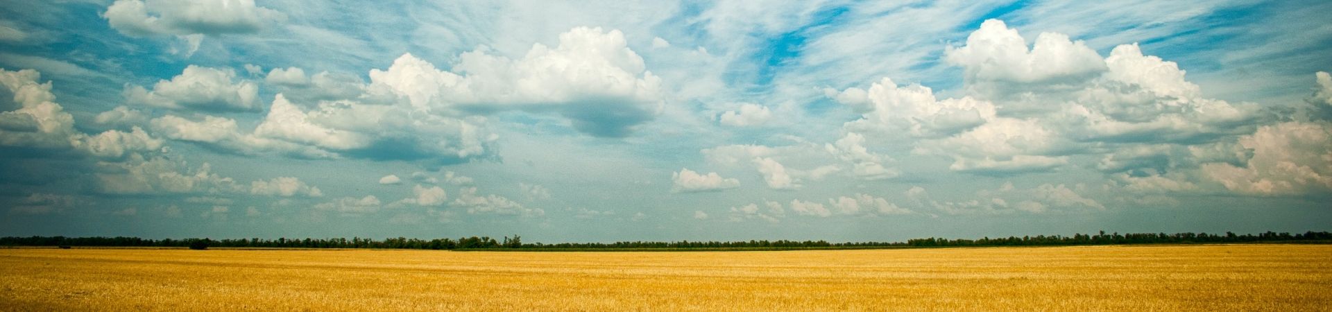 Pexels-oleksandr-pidvalnyi-1227513