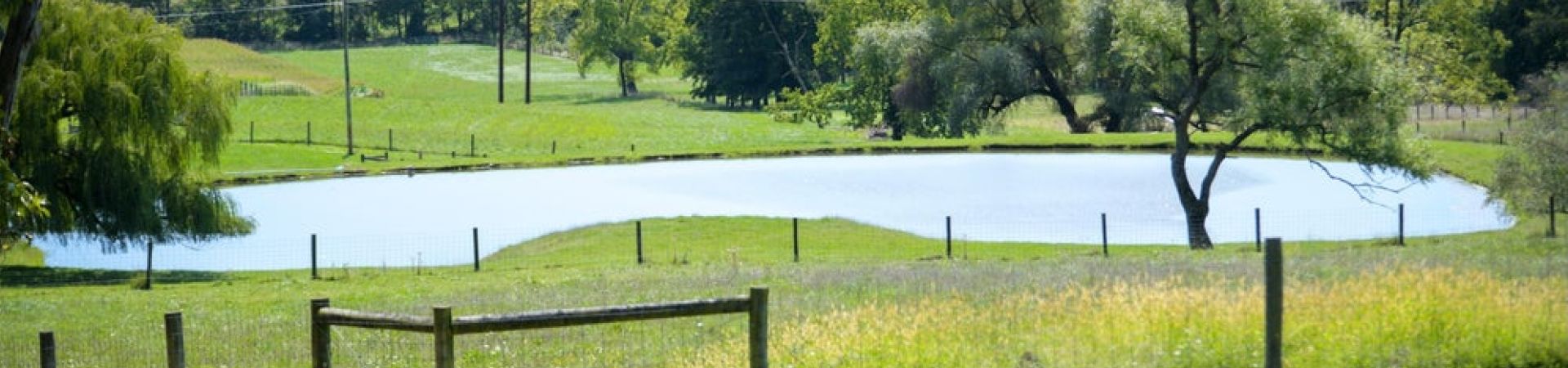 Pond