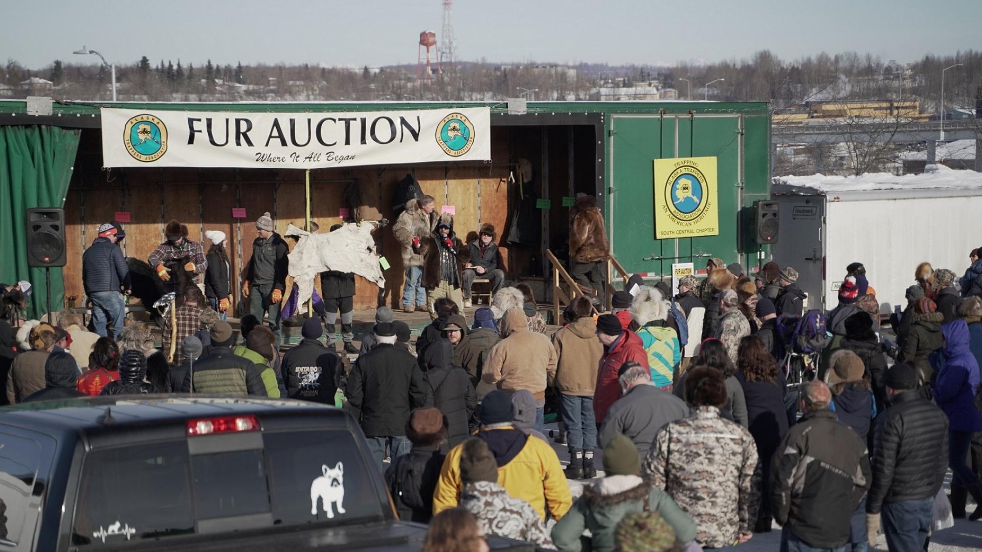 Alaska Premier Auctions & Appraisals