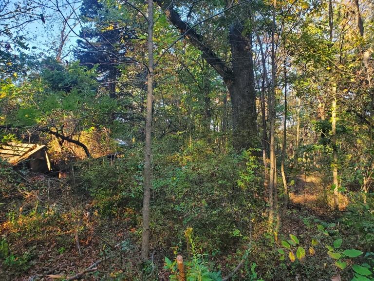Image for 1.99 Acre Lot in Hatfield Township, Montgomery County, PA