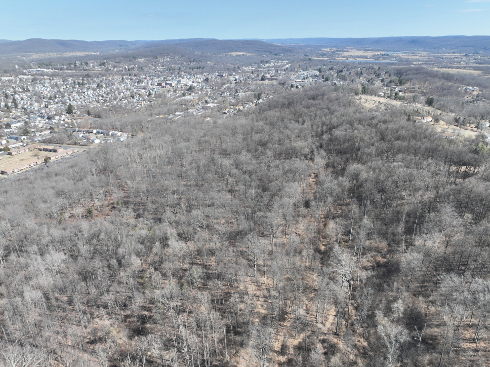 Image for Absolute Auction | 45.5± Acre Parcel Warren County, Washington Borough, NJ