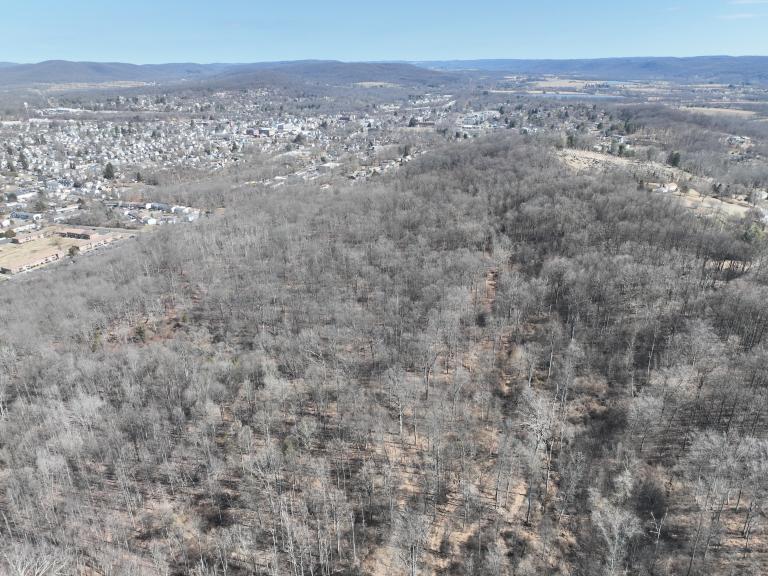 Image for Absolute Auction | 45.5± Acre Parcel Warren County, Washington Borough, NJ