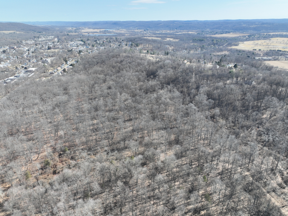 Image for Absolute Auction | 45.5± Acre Parcel Warren County, Washington Borough, NJ