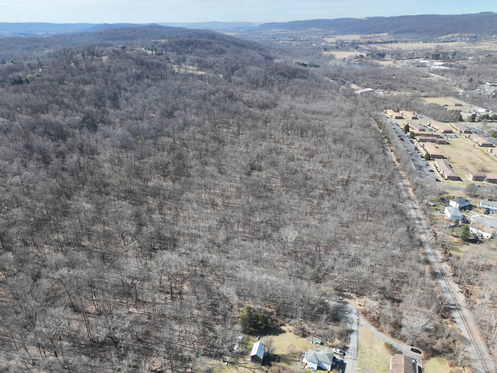 Image for Absolute Auction | 45.5± Acre Parcel Warren County, Washington Borough, NJ