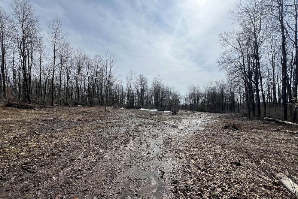 Image for 207 Acres of Recreational Land, Little Falls, NY