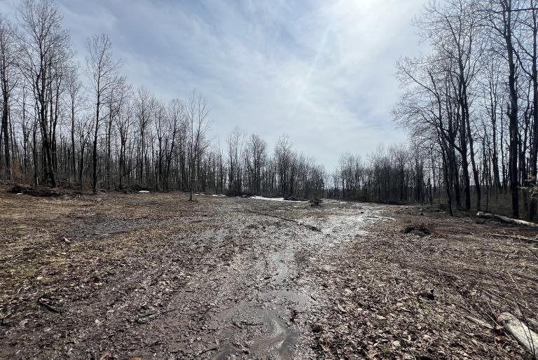 Image for 207 Acres of Recreational Land, Little Falls, NY