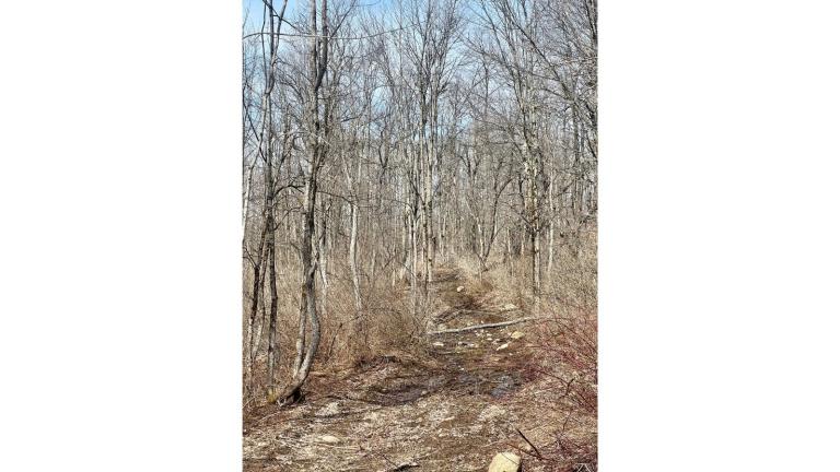 Image for 207 Acres of Recreational Land, Little Falls, NY
