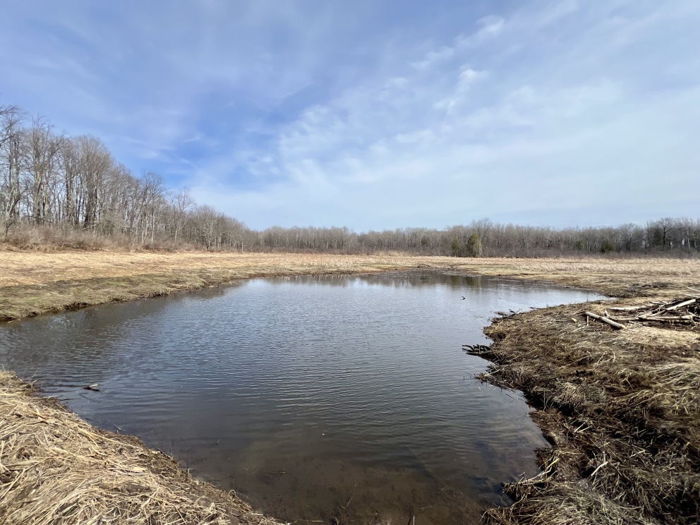Image for 207 Acres of Recreational Land, Little Falls, NY