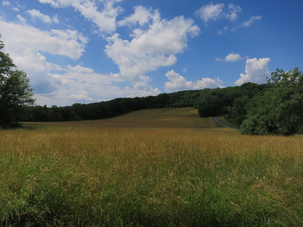 Image for 12.70 Acres of Vacant Ground, Upper Salford Township, PA