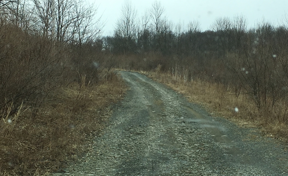 Image for Bankruptcy Auction | 241± Acres in Bradford County, PA