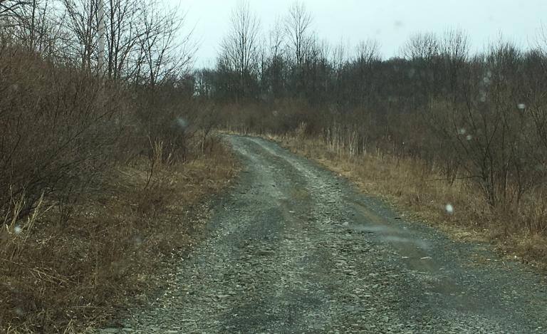 Image for Bankruptcy Auction | 241± Acres in Bradford County, PA