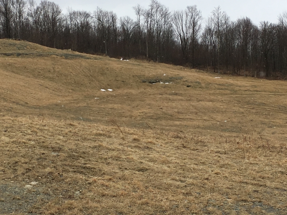 Image for Bankruptcy Auction | 241± Acres in Bradford County, PA