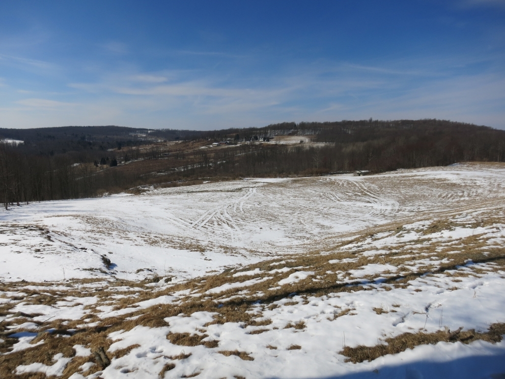 Image for Bankruptcy Auction | 241± Acres in Bradford County, PA