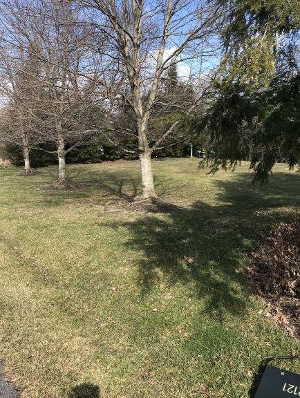 Image for Bank Owned Camp Hill, PA Building Lot