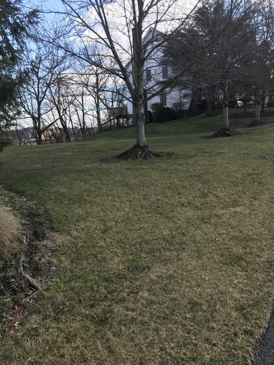 Image for Bank Owned Camp Hill, PA Building Lot