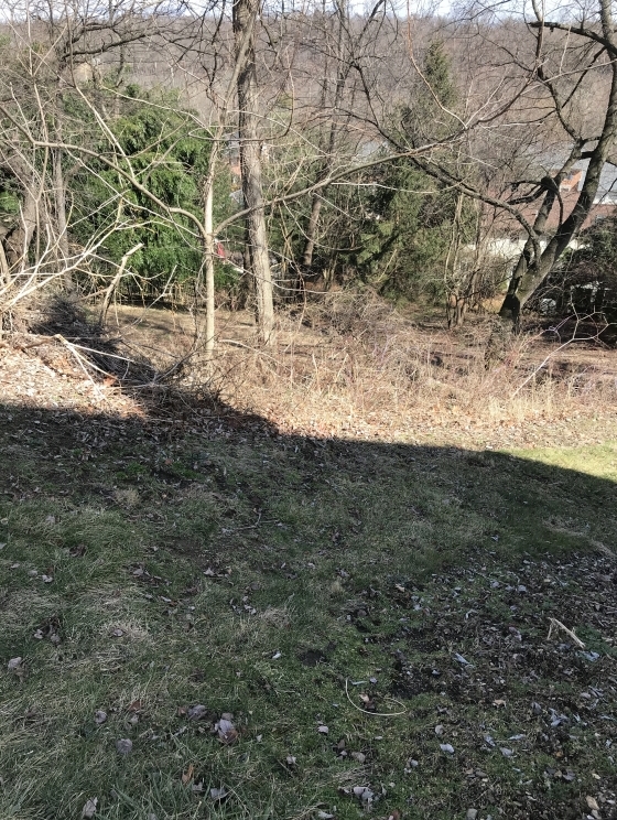 Image for Bank Owned Camp Hill, PA Building Lot