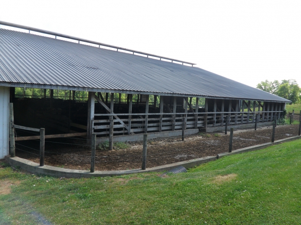 Image for Excellent Business Opportunity! Working Dairy Farm & Retail Store in Chester County, PA