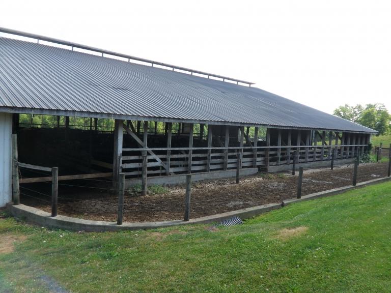 Image for Excellent Business Opportunity! Working Dairy Farm & Retail Store in Chester County, PA