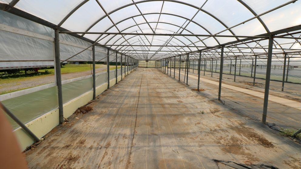 Huge Greenhouse and Equipment Auction