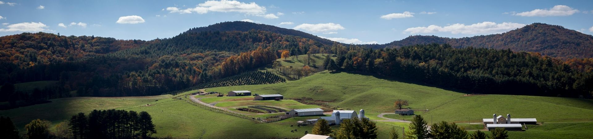 Pexels-nc-farm-bureau-mark-2253209