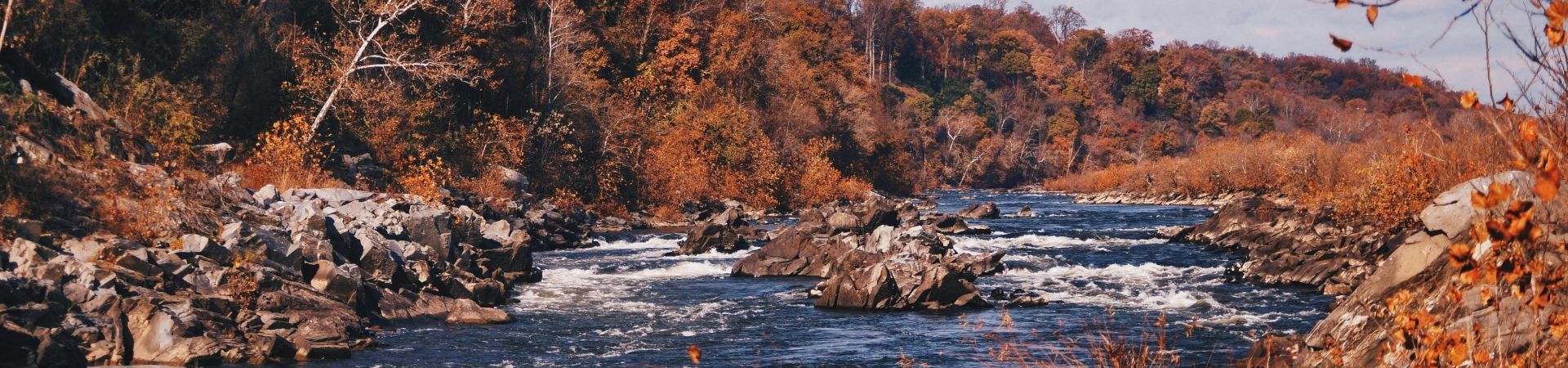 Pexels-vivicamacho-2432201