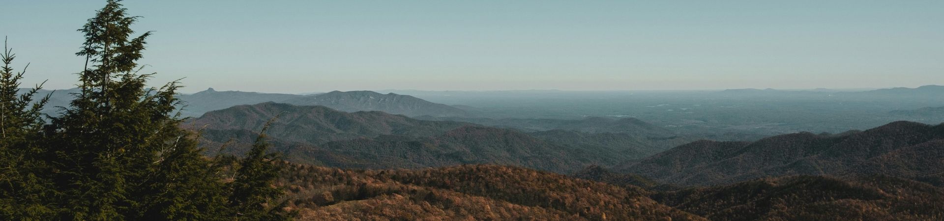 Pexels-airamdphoto-8657081