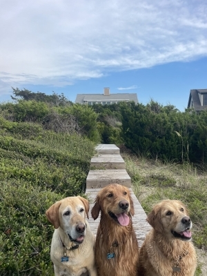 Photo of Door greeters, food control and emotional support