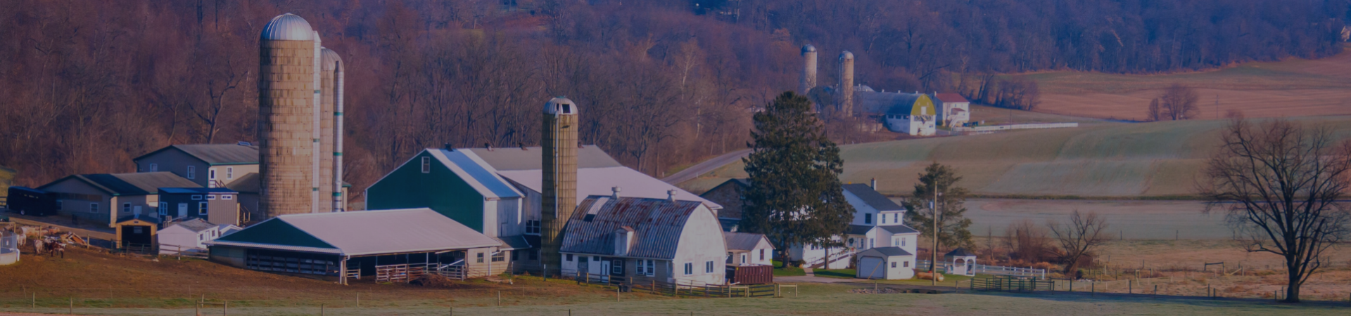 Bering-real-estate-farmland-slider