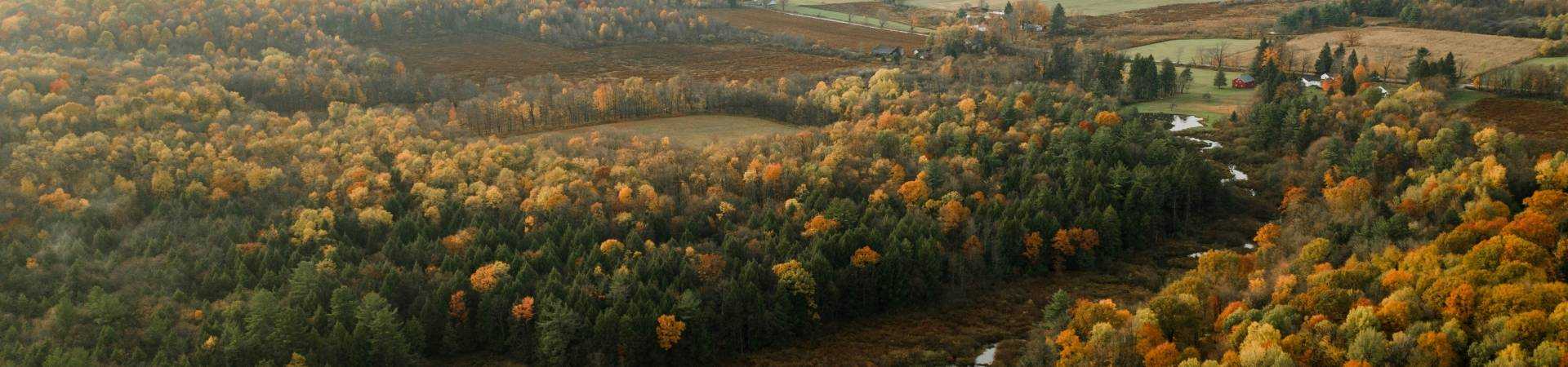 Donnie-rosie-vqgjgacllxa-unsplash