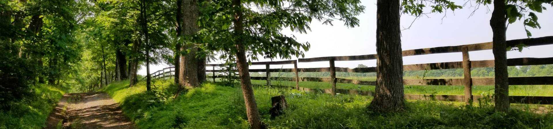 Andrea-merovich- da5m7hrohe-unsplash