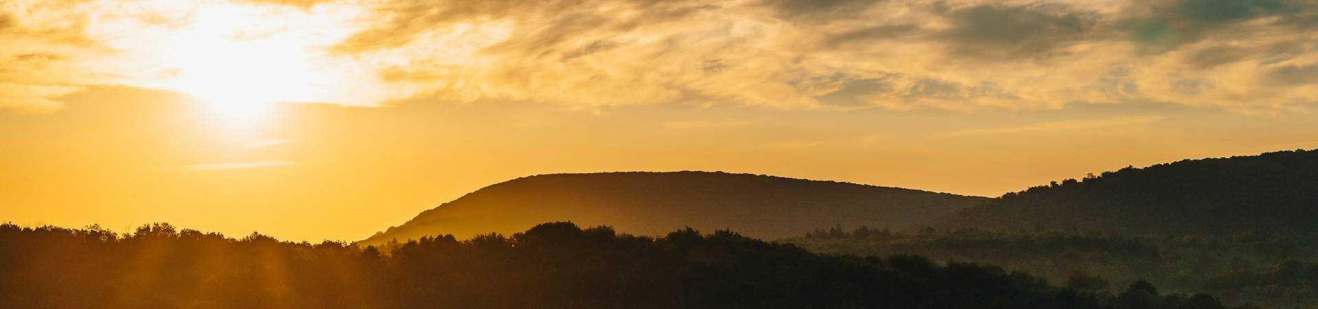 Tyler-rutherford-i-pzw1b2kxq-unsplash