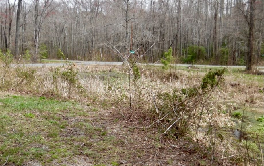 Image for 2 BR/1 BA Home w/30’ x 40’ Shop on 1.3 +/- Acres in Colonial Beach, VA—Sells to the Highest Bidder!