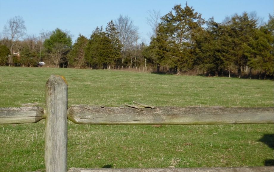 Image for 69.5 +/- Acres of Beautiful Land w/Barn, Fencing, Pond & Creek in Culpeper County, VA