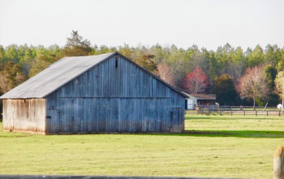 Image for 69.5 +/- Acres of Beautiful Land w/Barn, Fencing, Pond & Creek in Culpeper County, VA